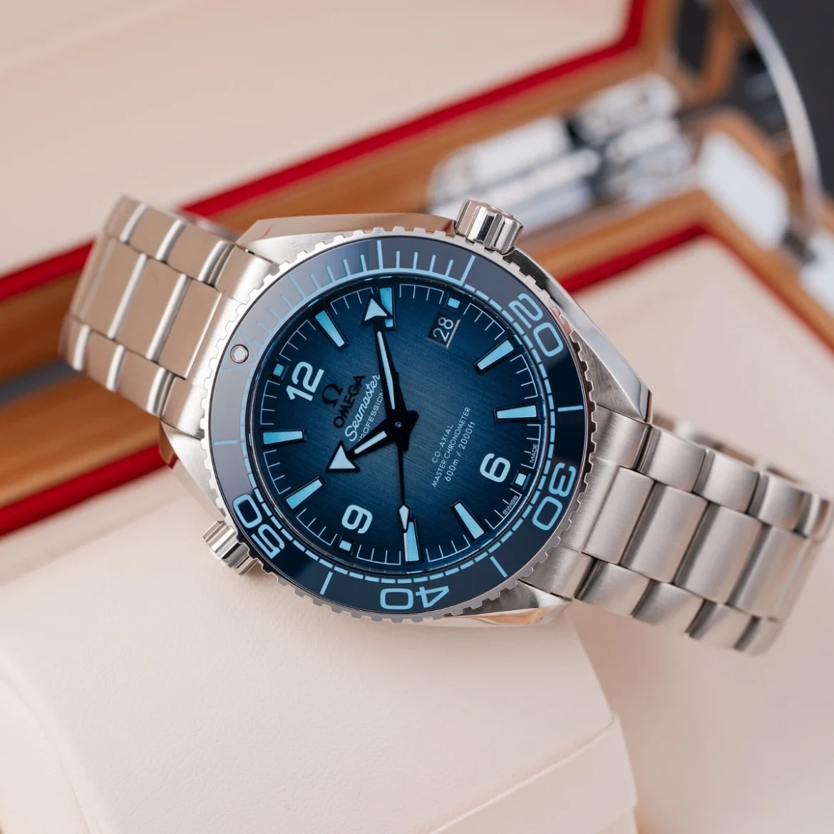 235.10.38.20.06.001 seamaster Railmaster_2