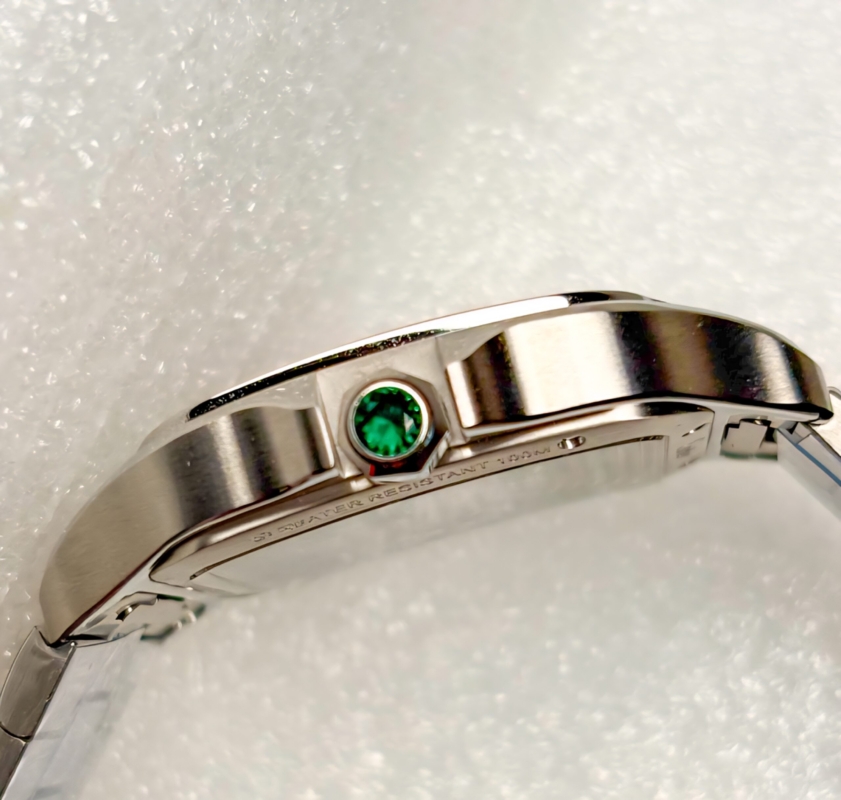 Santos de Cartier Esqueleto | WHSA0028