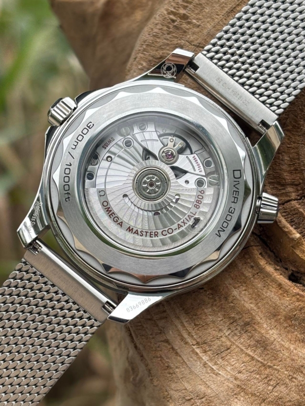 Seamaster Diver 300 |Nuevo 2025|