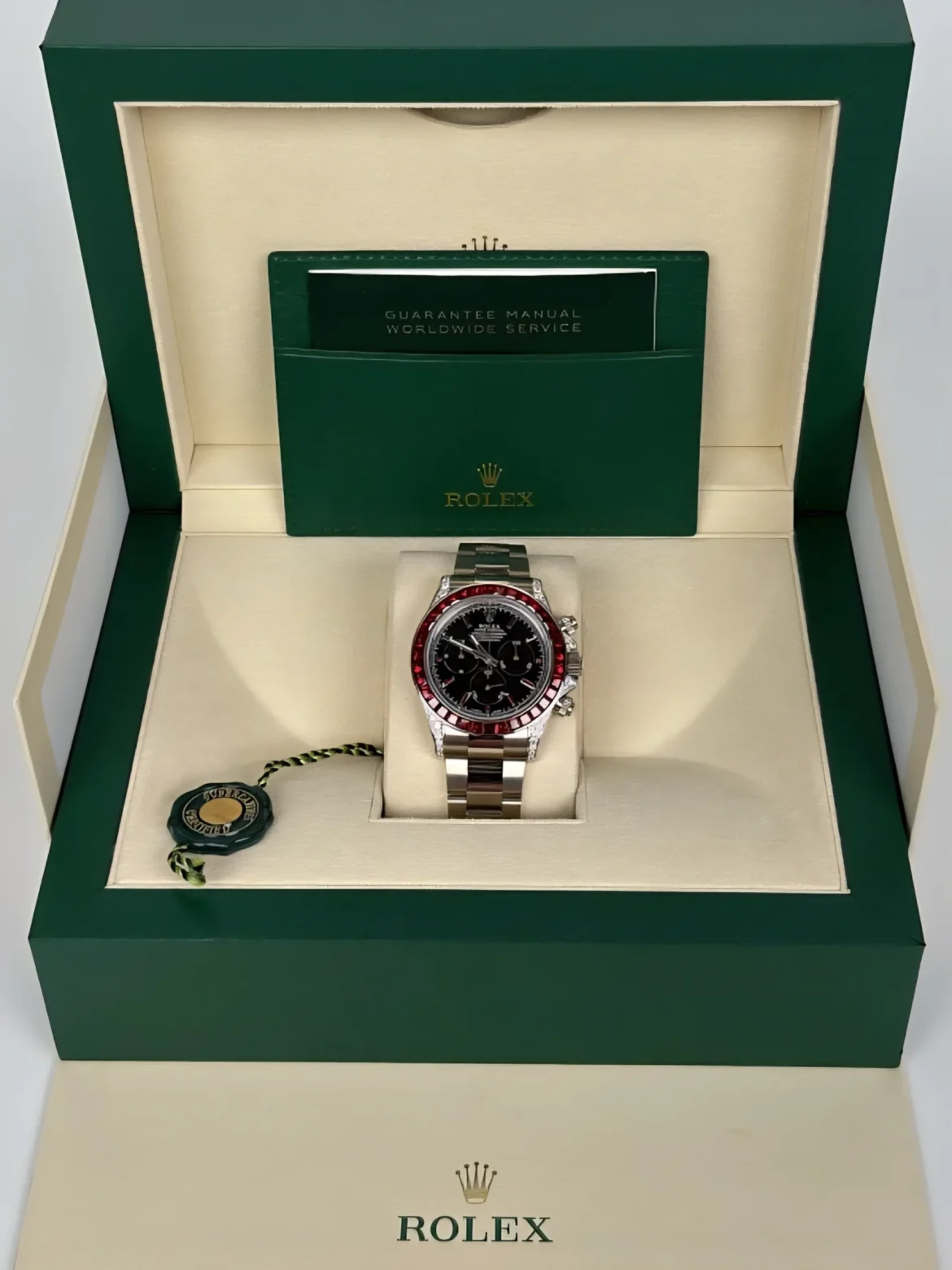 235.10.38.20.06.001 seamaster Railmaster_2